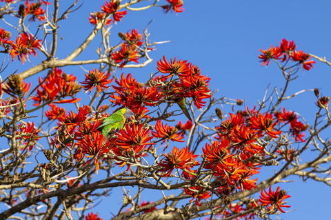 Como Executive Apartment - Accommodation Mt Buller 19