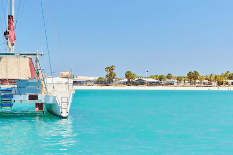 RAC Monkey Mia Dolphin Resort - Accommodation Mt buller 21