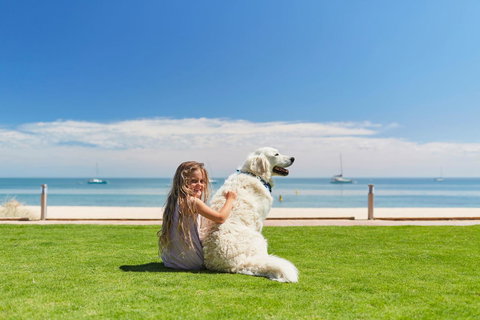 RAC Monkey Mia Dolphin Resort - Accommodation Mt buller 36