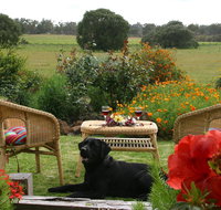 Silversprings cottages - Accommodation Mt Buller