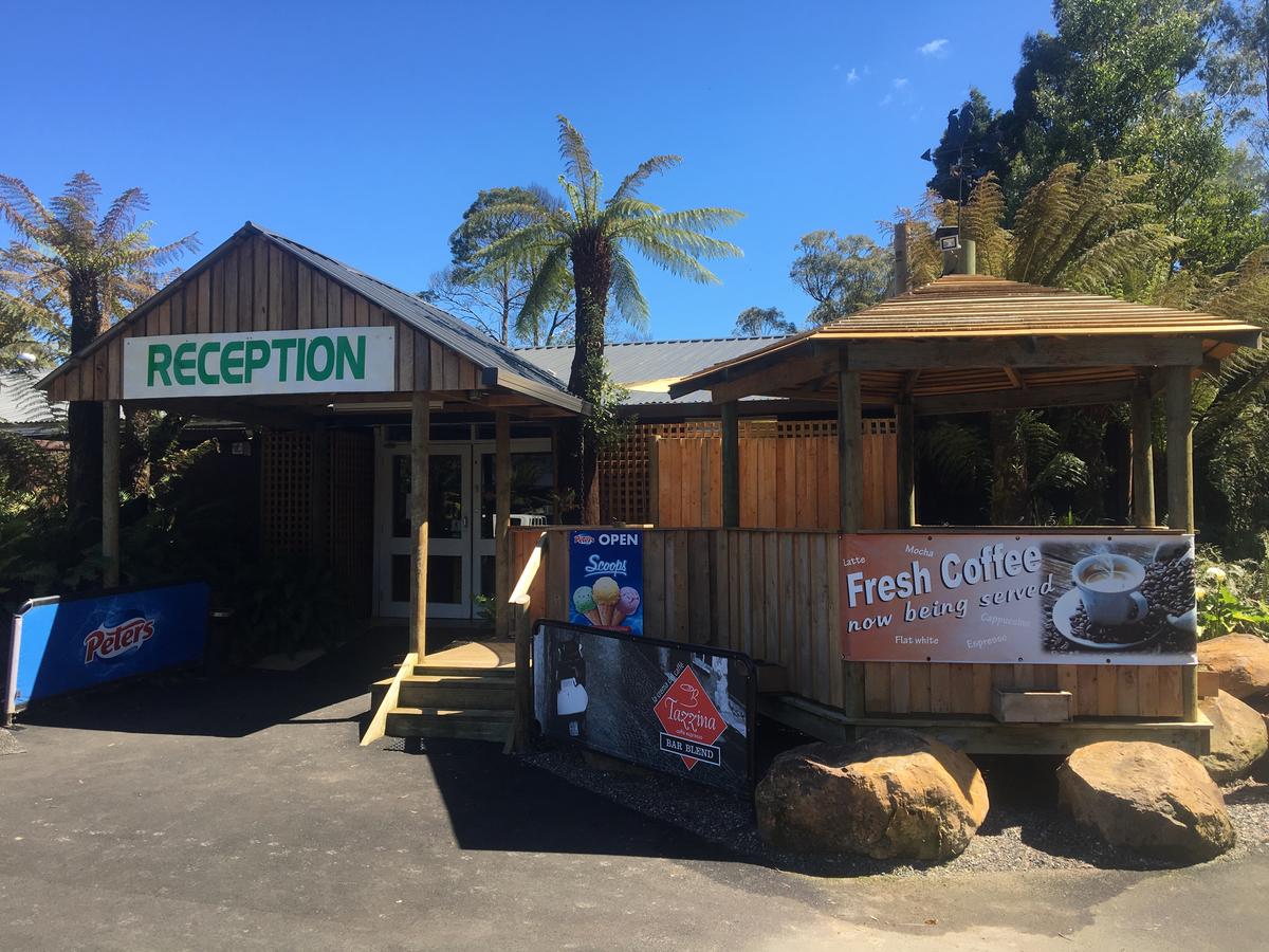 Accommodation Mt Buller