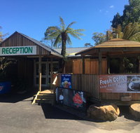 Tullah Lakeside Lodge - Accommodation Mt Buller