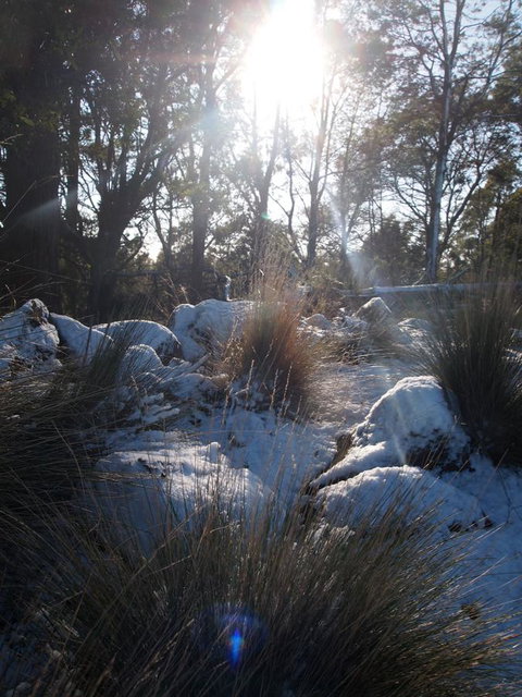 Erriba House - Accommodation Mt Buller 9