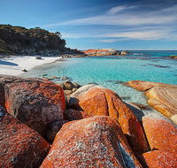 Homelea Accommodation - Accommodation Mt buller