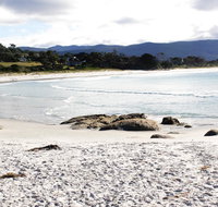 Mermaids of Bicheno - Accommodation Mt Buller