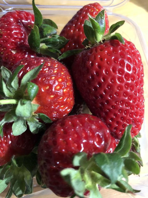 Richmond Bridge Accommodation â€œTwo The Bridgeâ€ - Accommodation Mt Buller 17