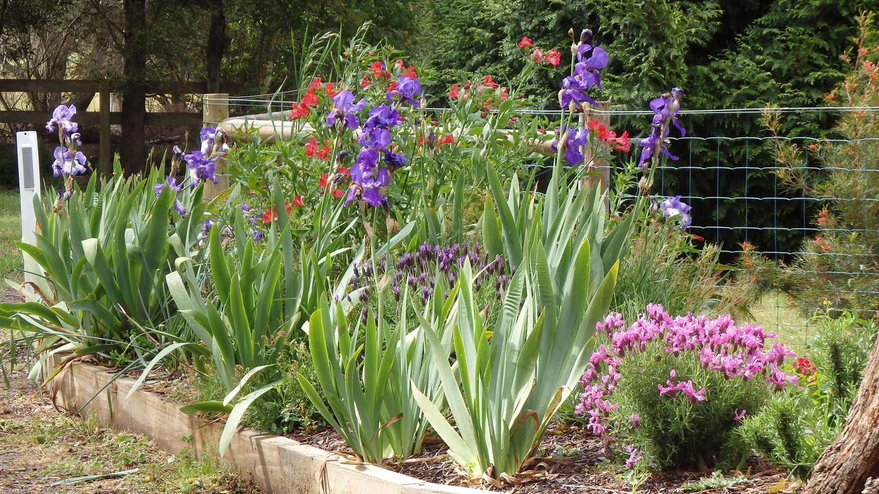  Accommodation Mt buller