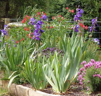 Karoola Cottage Self Contained - Accommodation Mt buller