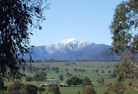 Off Mountain Accommodation - Accommodation Mt Buller 0