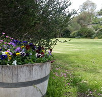 Padthaway Caravan Park - Accommodation Mt Buller