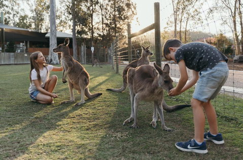 Paradise Country Farmstay - Accommodation Mt Buller 1