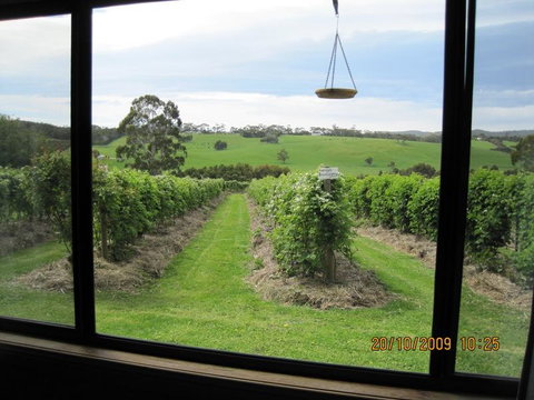 Pennyroyal Raspberry Farm & Cidery - Accommodation Mt Buller 0