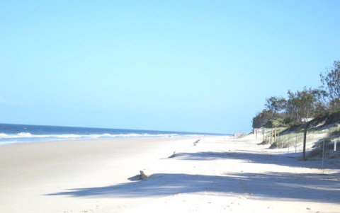 Pet Friendly Home Walking Distance To Surf Beach - North St, Woorim - Accommodation Mt Buller 3