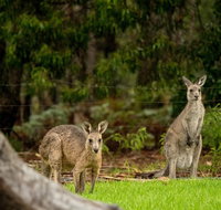Secura Lifestyle Countryside Kalaru - Accommodation Mt Buller