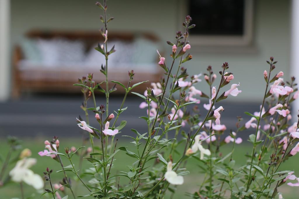 Allynbrook ACT Accommodation Mt Buller