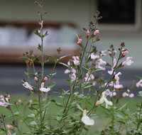 Serendipity on Allyn - Accommodation Mt Buller