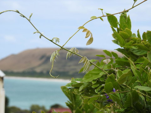 Ellie\'s Cottages - Accommodation Mt Buller 3