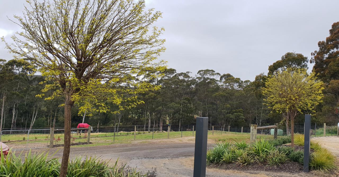  Accommodation Mt Buller