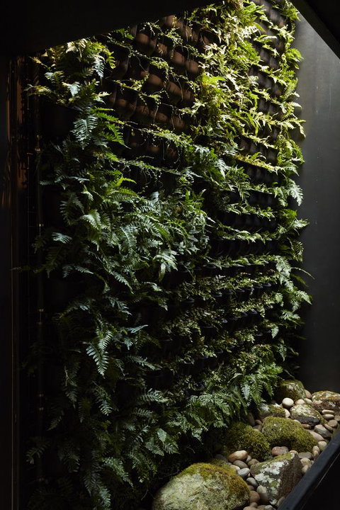 Moss Hotel - Accommodation Mt Buller 2