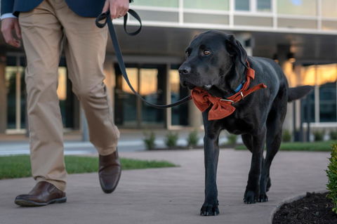 Peppers Silo - Accommodation Mt Buller 44