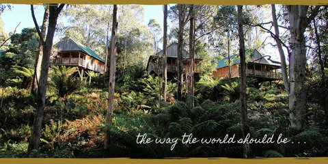 Lemonthyme Wilderness Retreat - Accommodation Mt Buller 20