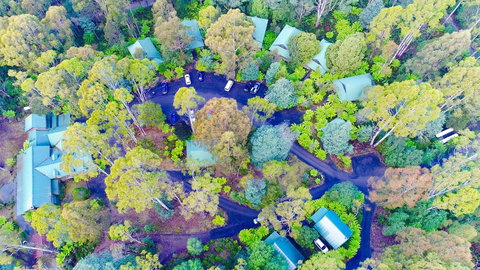 Lemonthyme Wilderness Retreat - Accommodation Mt Buller 1