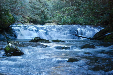 Lemonthyme Wilderness Retreat - Accommodation Mt Buller 10