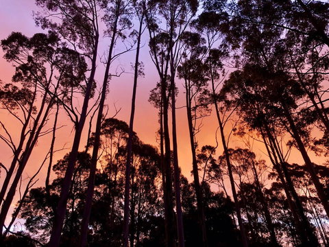 Lemonthyme Wilderness Retreat - Accommodation Mt Buller 8