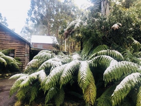Lemonthyme Wilderness Retreat - Accommodation Mt Buller 5