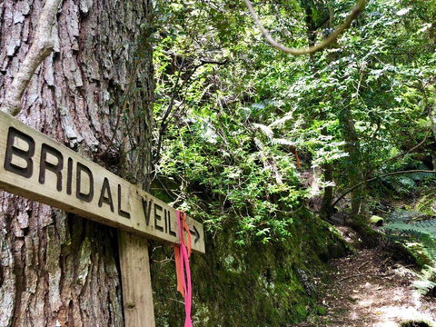 Lemonthyme Wilderness Retreat - Accommodation Mt Buller 18