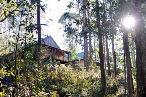 Lemonthyme Wilderness Retreat - Accommodation Mt Buller 25