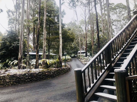 Lemonthyme Wilderness Retreat - Accommodation Mt Buller 15