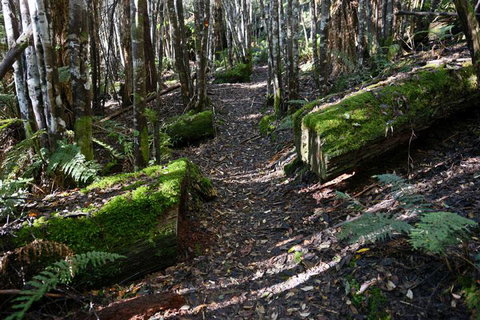 Lemonthyme Wilderness Retreat - Accommodation Mt Buller 22