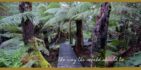 Lemonthyme Wilderness Retreat - Accommodation Mt Buller 17