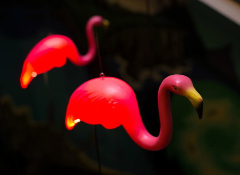 Alabama Hotel Hobart - Accommodation Mt buller 42