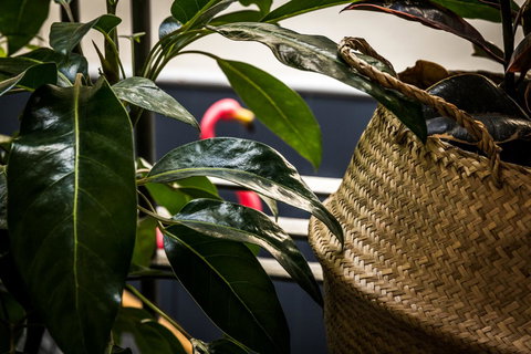 Alabama Hotel Hobart - Accommodation Mt buller 25