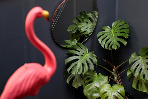 Alabama Hotel Hobart - Accommodation Mt buller 15