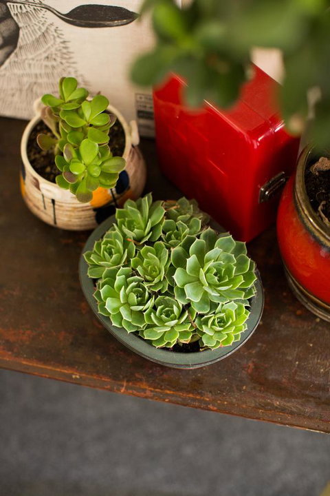 Alabama Hotel Hobart - Accommodation Mt buller 39