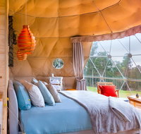 Domescapes in the Vines - Accommodation Mt Buller