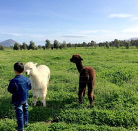 Taras Richmond Farmstay - Accommodation Mt Buller