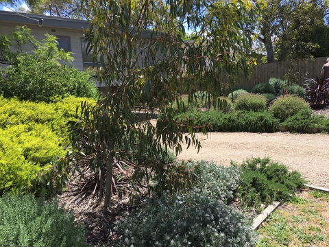 Kookas Retreat - Accommodation Mt Buller 13