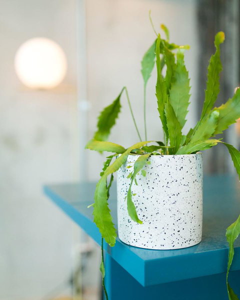 Sage Melbourne Ringwood - Accommodation Mt Buller 36