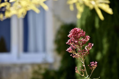 Villa Mallorca - Accommodation Mt Buller 28