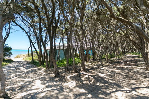 Blairgowrie Bella - Light Filled Home With Great Deck - Accommodation Mt Buller 12