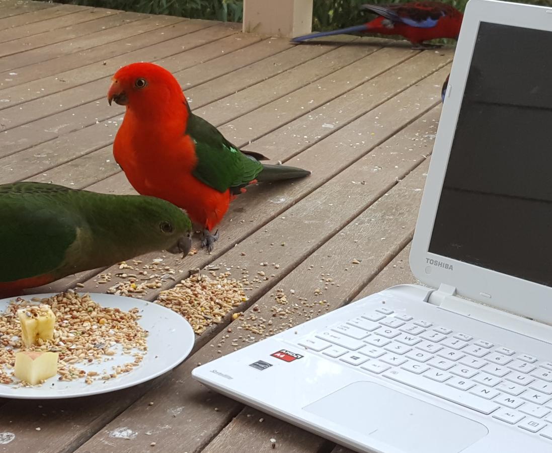  Accommodation Mt buller