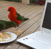 Wilsons Promontory Motel - Accommodation Mt buller