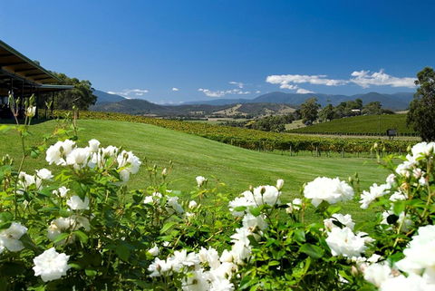 Balgownie Estate Yarra Valley - Accommodation Mt Buller 36