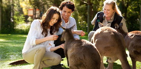 Balgownie Estate Yarra Valley - Accommodation Mt Buller 10