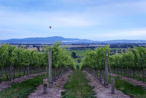 Balgownie Estate Yarra Valley - Accommodation Mt Buller 37