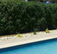 Robinvale Bridge Motel - Accommodation Mt Buller